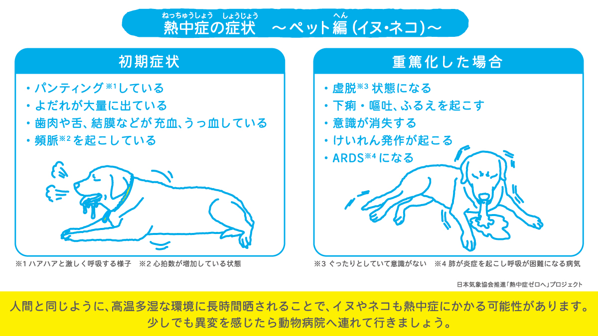 図）熱中症の症状～ペット編（イヌ・ネコ）～