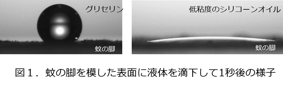 出典）花王 | 蚊の嫌う肌表面をつくり、蚊に刺されることを防ぐ技術を開発 ～蚊を媒介とする感染症から守る～